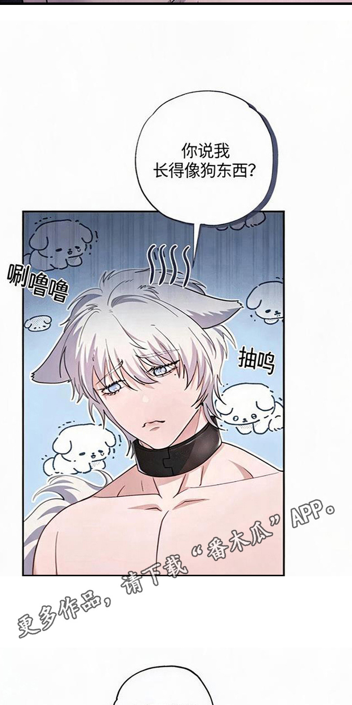 星光狼影 - 委屈 - 第15页