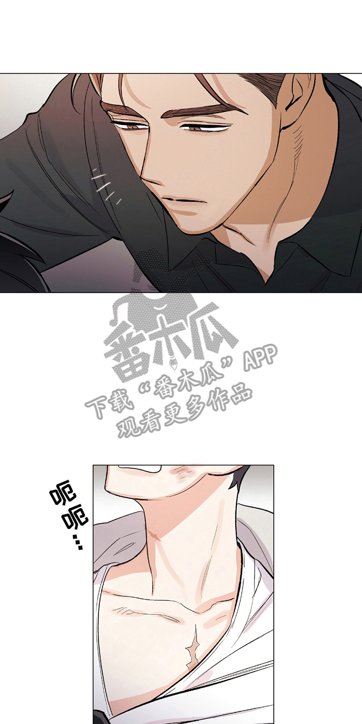 欧文的心脏 - 无关 - 第13页