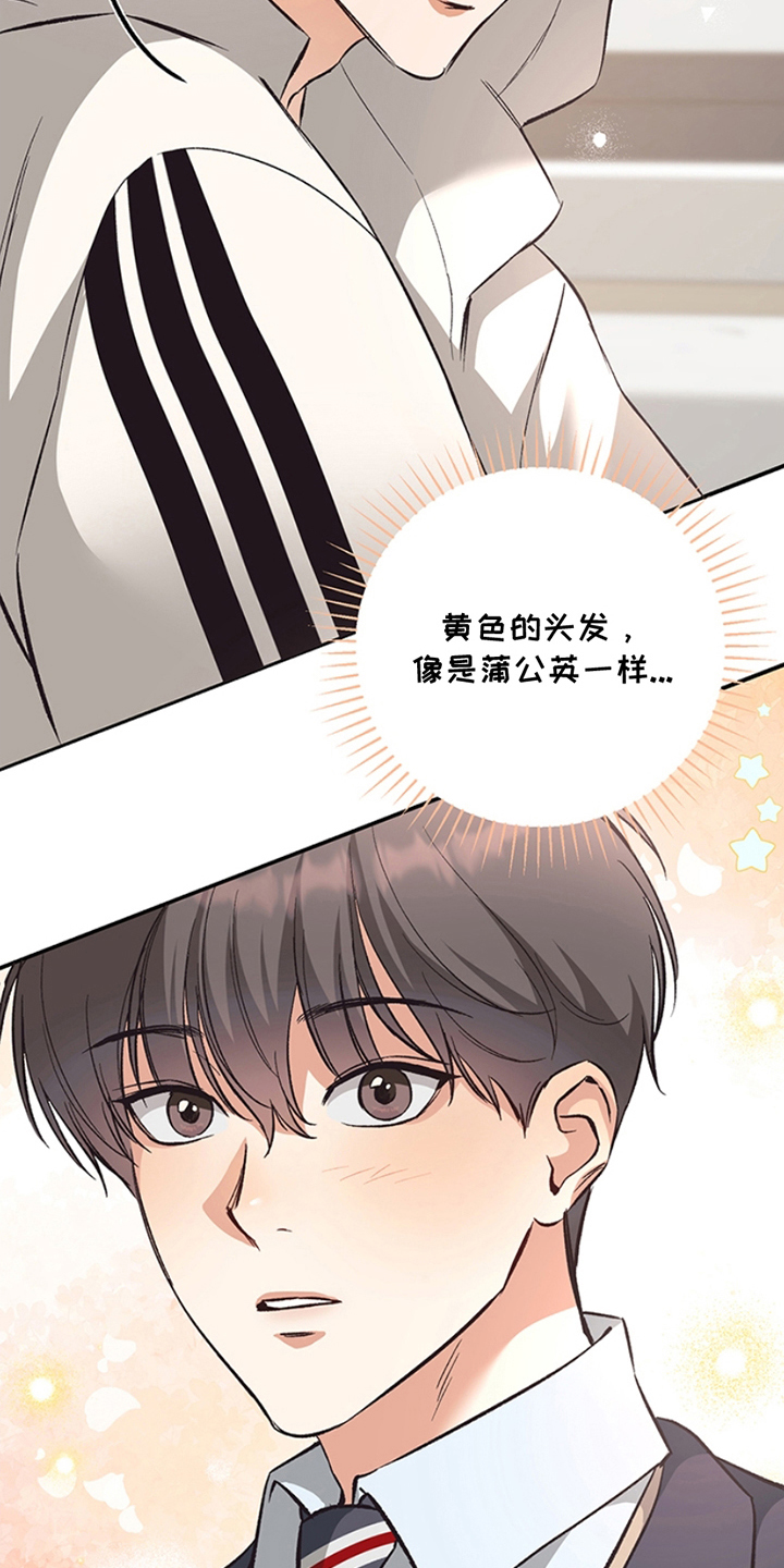 蒲公英观察日 - 真好看 - 第16页