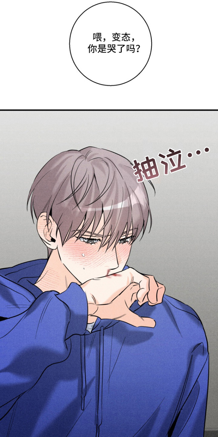 腹黑初恋 - 步步紧逼 - 第13页