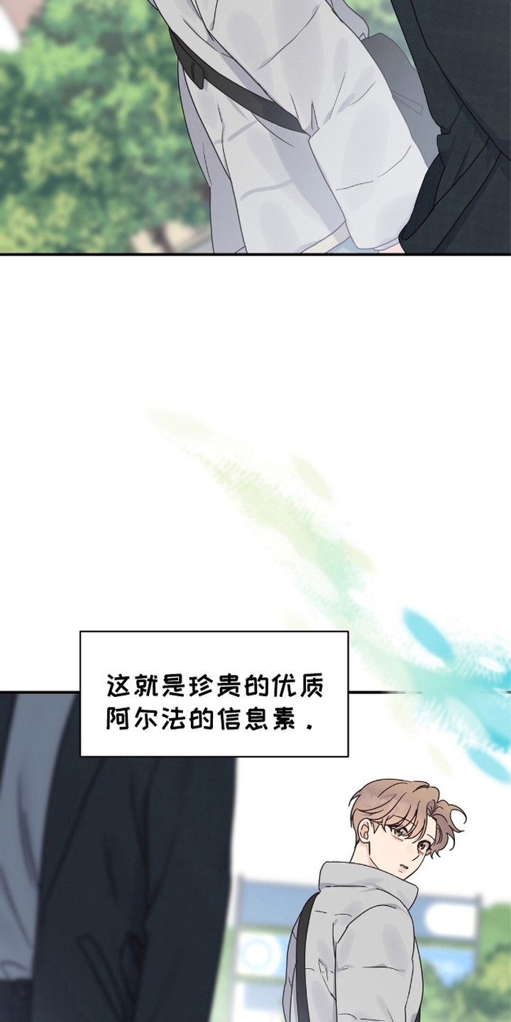 阿尔法创伤 - 重逢 - 第16页