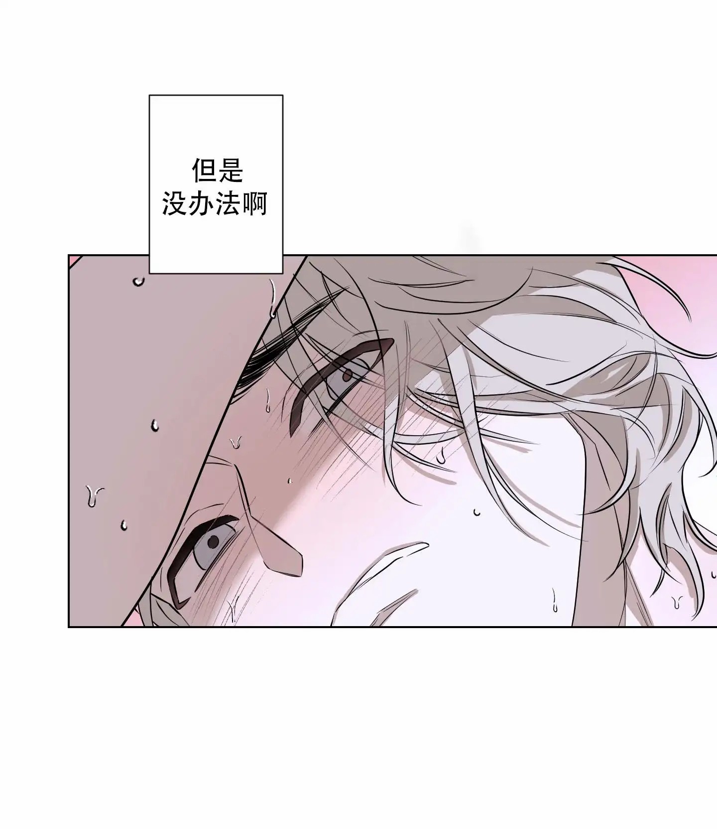 暴力美学 - 完全冷静不下来 - 第5页