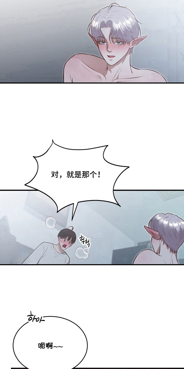 精灵派送员 - 精灵 - 第21页