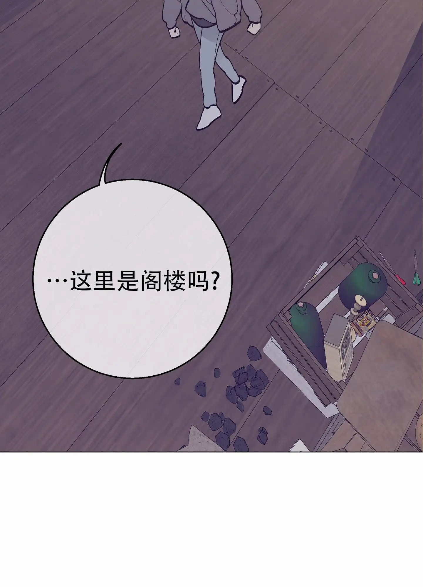阁楼的注视 - 明天就走 - 第24页