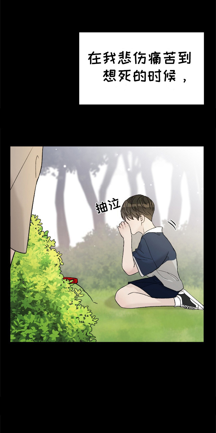爱犬宝贝 - 摩卡 - 第8页