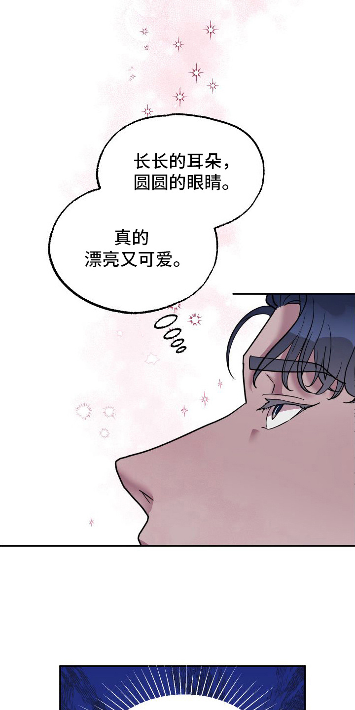 鲨鱼的新娘 - 兔子雕刻 - 第20页