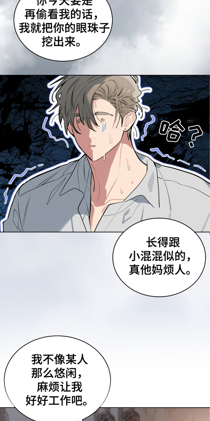 完美身材 - 走着瞧 - 第17页