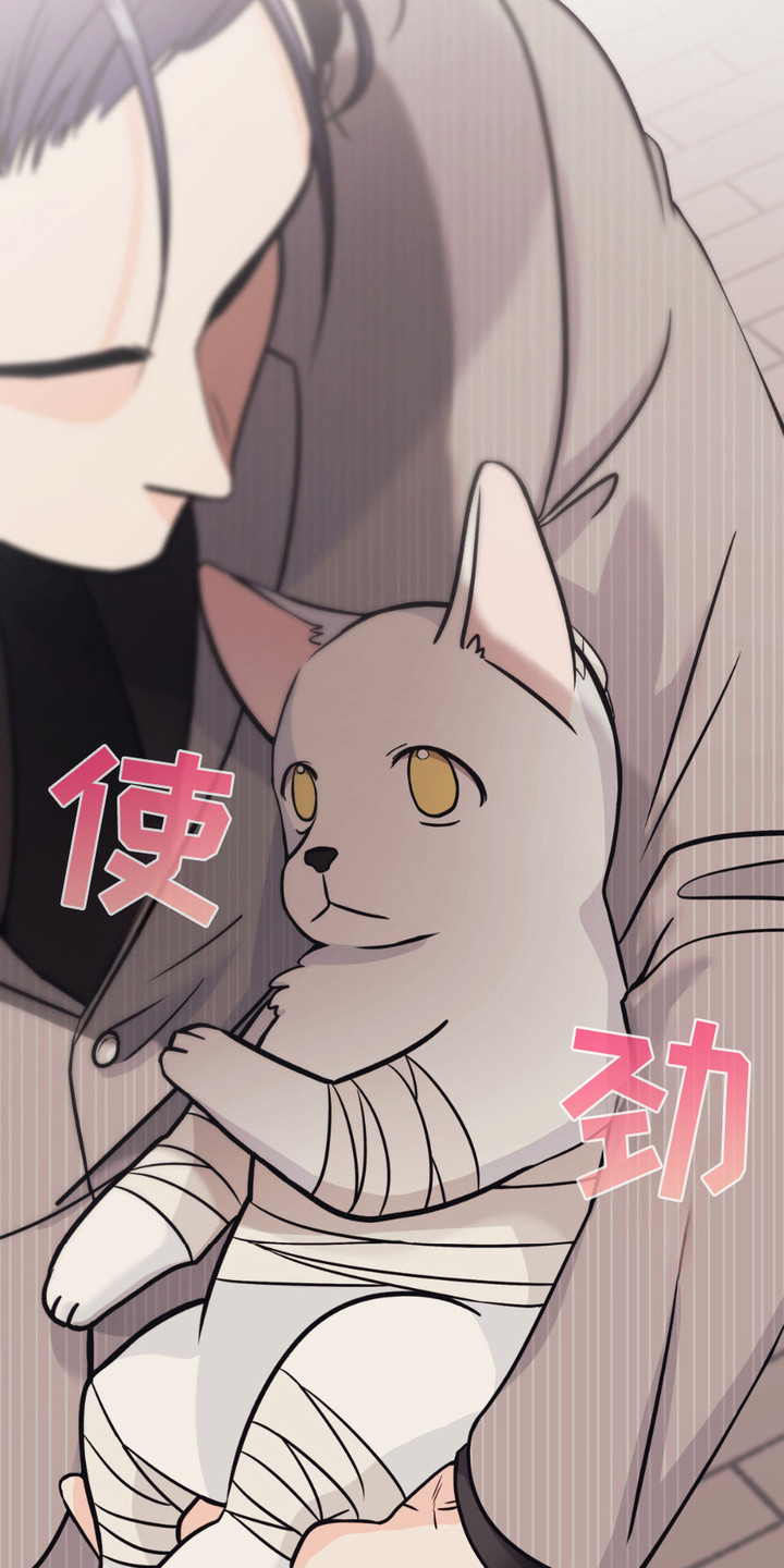 如此可爱的你 - 兽医 - 第16页