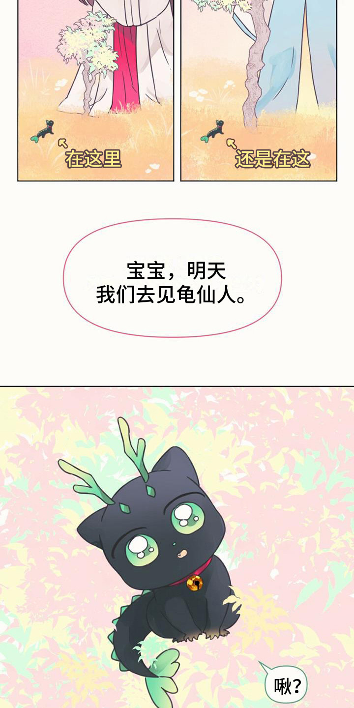 兔兔的小龙宝 - 长不大 - 第14页
