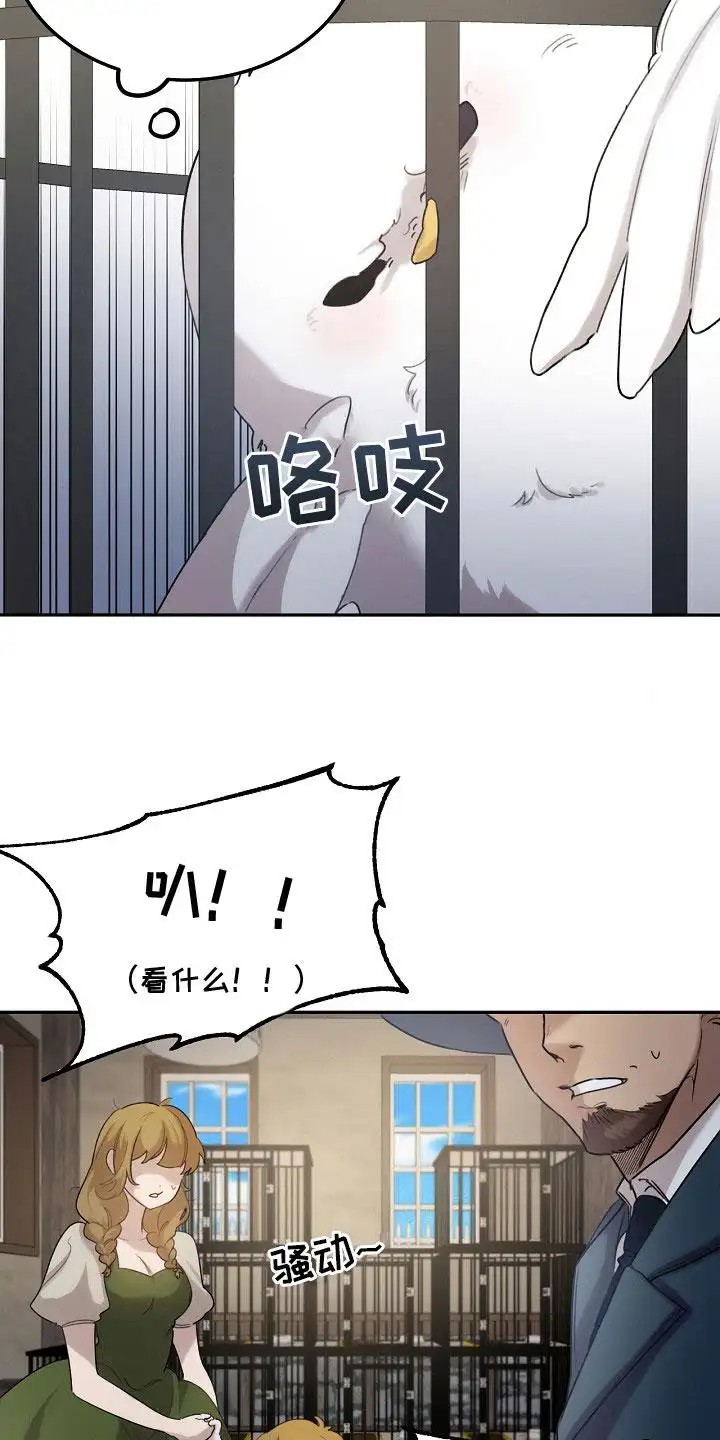 白鸟奇遇记 - 捕获 - 第17页