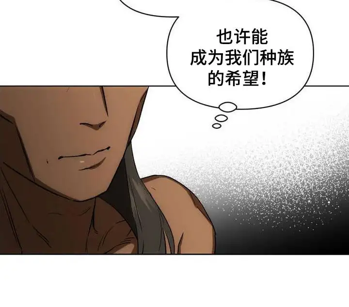 雨林让你幸福 - 部族的希望 - 第24页