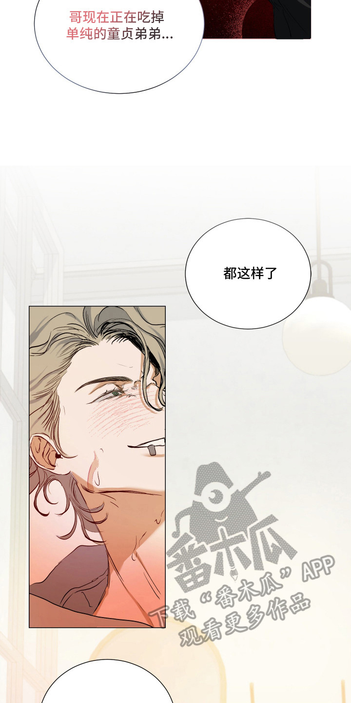 纯血人类与家养兔 - 进退维谷 - 第15页