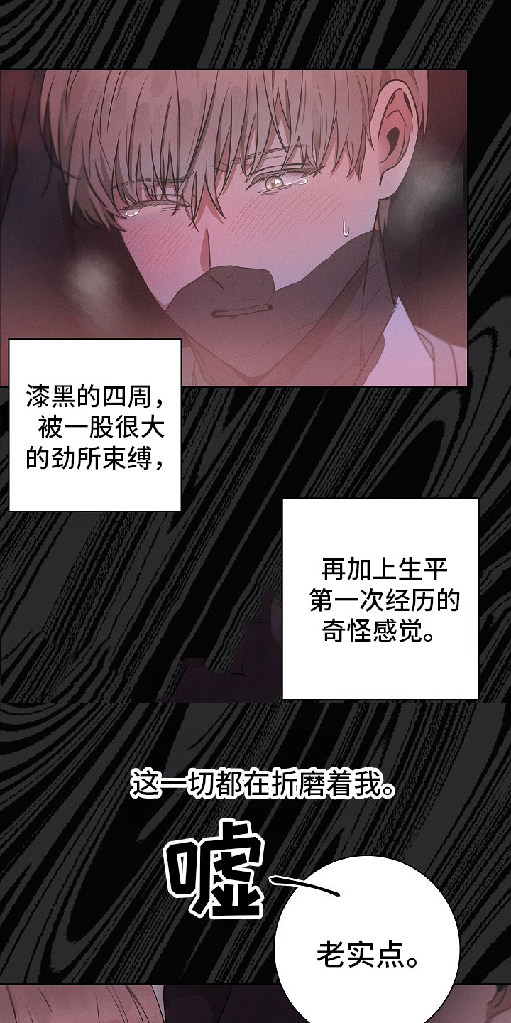 成为皇太子妃 - 皇太子 - 第5页