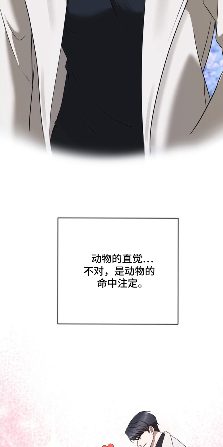 虎落兔口 - 兽人 - 第26页