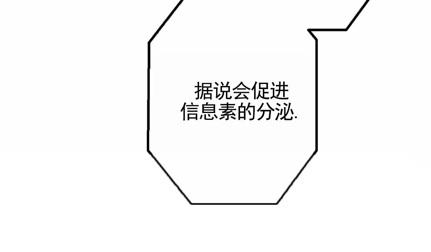 惊喜嘉宾 - 会长 - 第16页