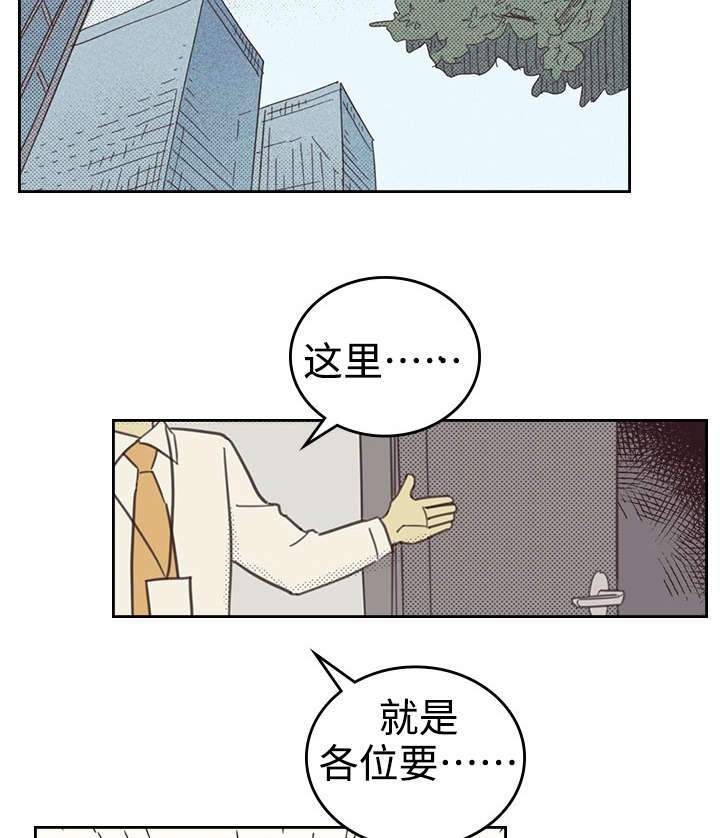 开或关 - 办公室 - 第24页