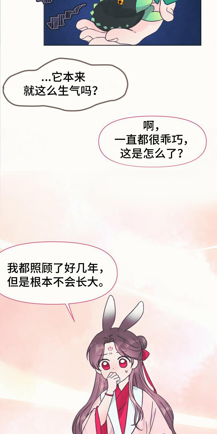 兔兔的小龙宝 - 长不大 - 第18页