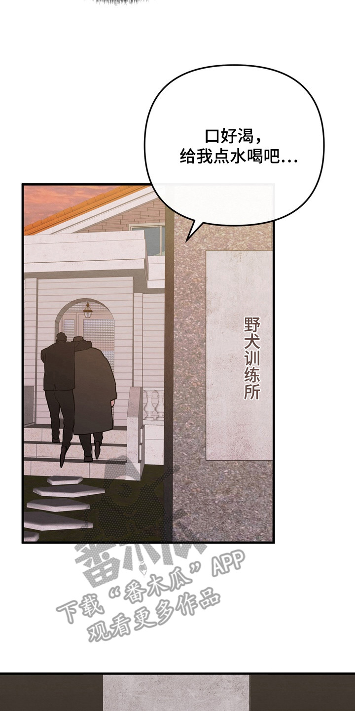 开发训狗 - 训练所 - 第19页