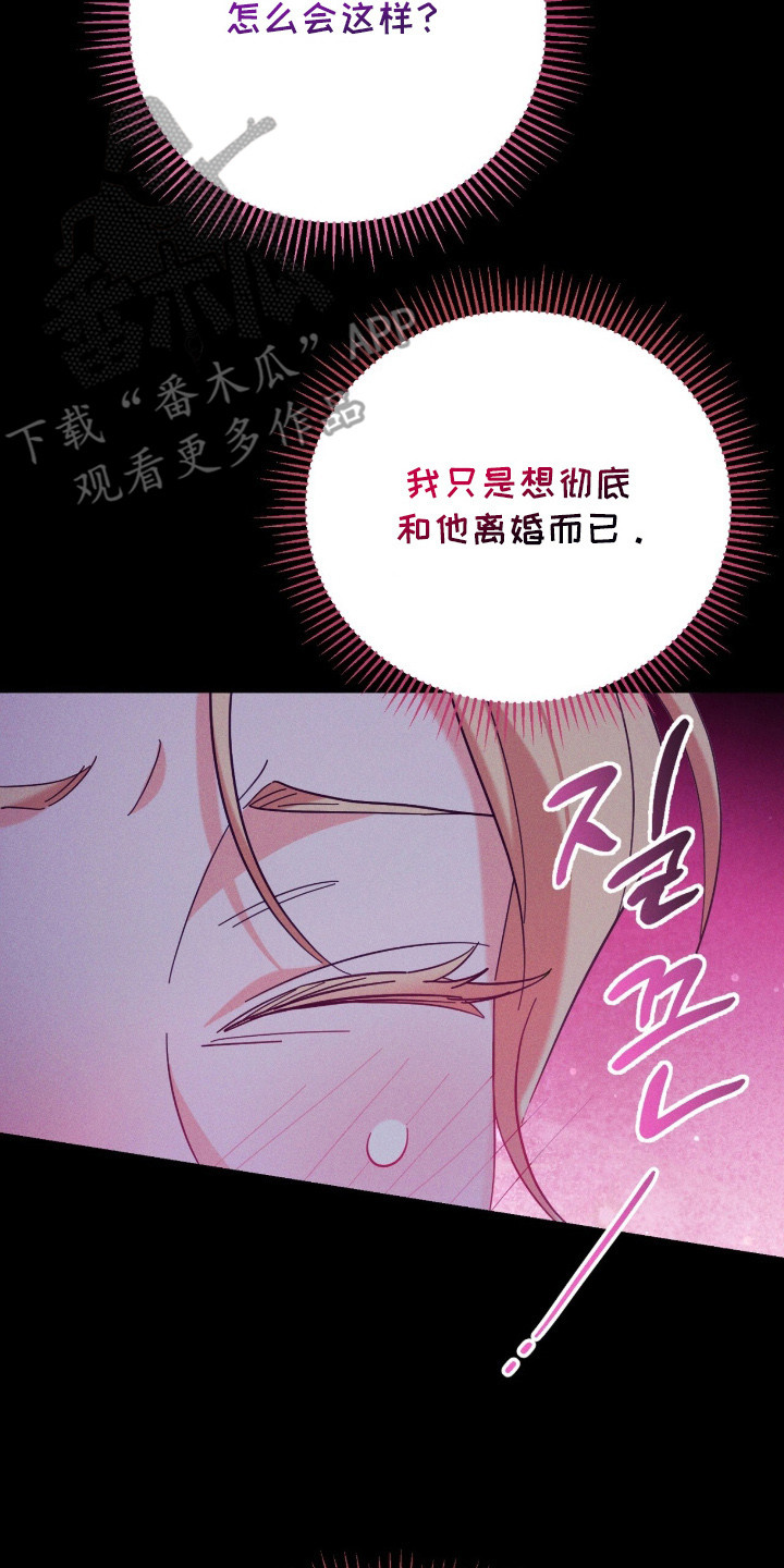 悔婚之夜 - 婚姻 - 第15页