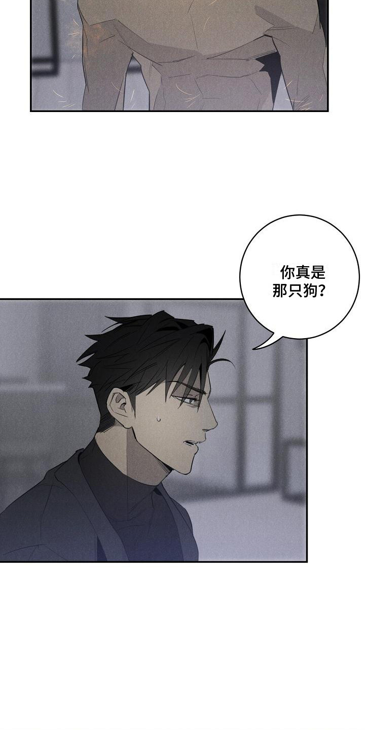 迷失方向 - 变身 - 第13页