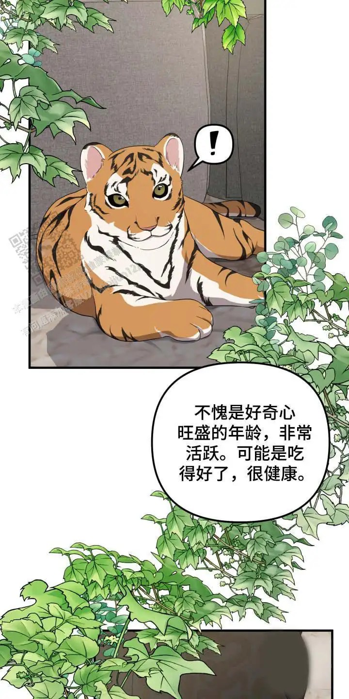 猛宠旧情 - 能力出色 - 第14页