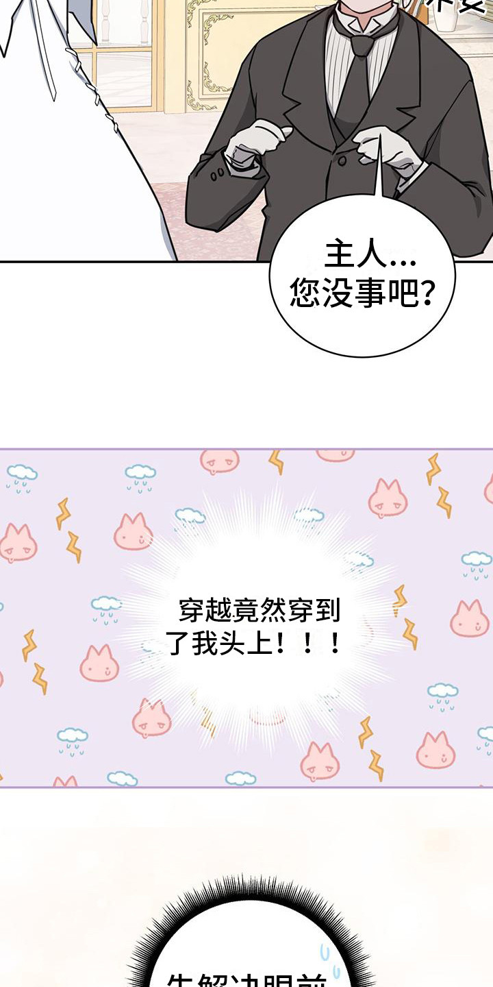 穿越勇士 - 假装失忆 - 第14页