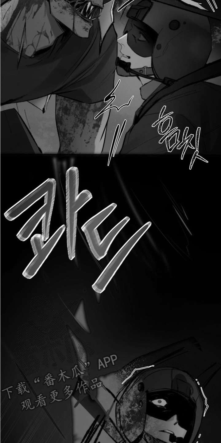 幸存者的曙光 - 黑鹰坠落 - 第15页