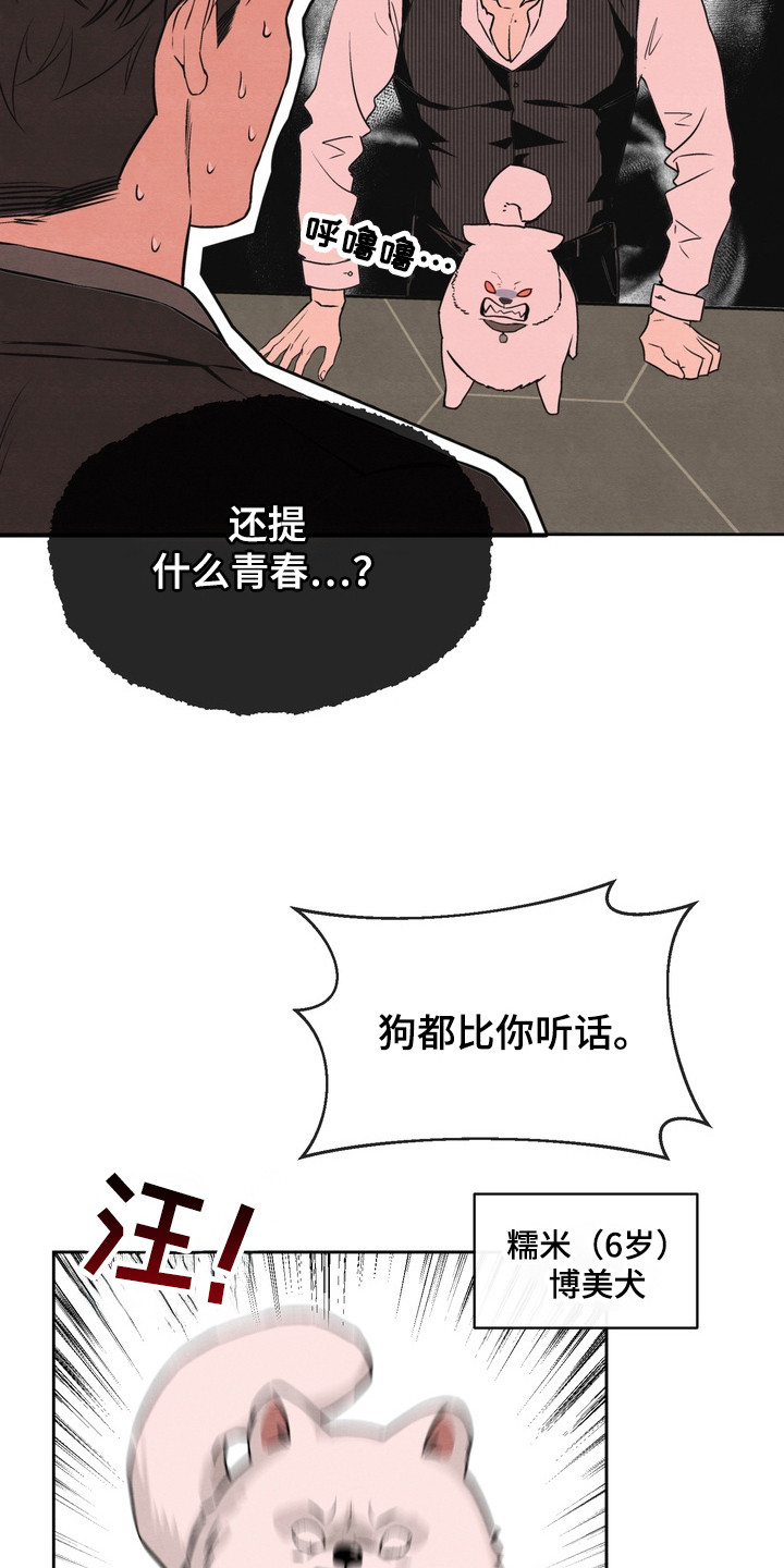 开发训狗 - 继承人 - 第20页