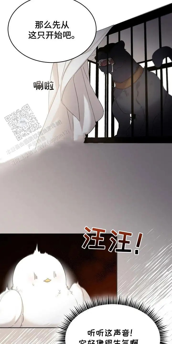 白鸟奇遇记 - 公爵 - 第15页