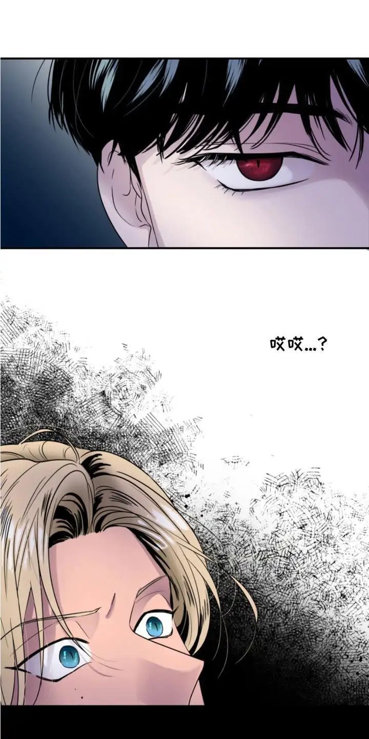 男人的夜晚 - 疯子 - 第12页