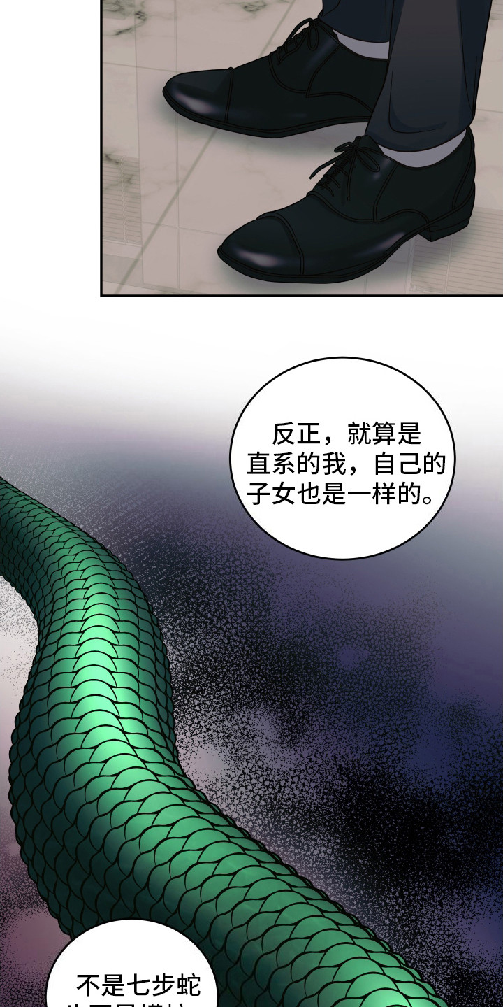 兔子保镖 - 双头蛇 - 第5页