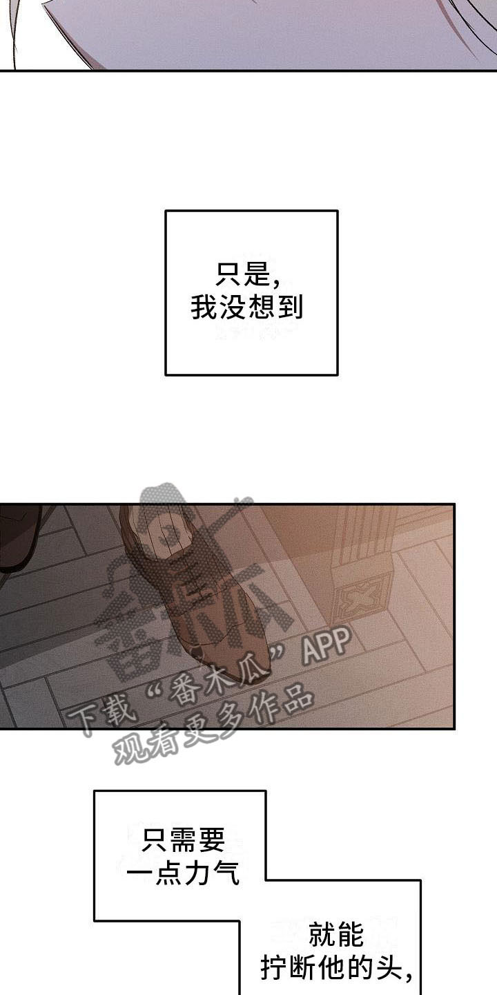 爱的合集 - 薰衣草花园-盗窃 - 第8页