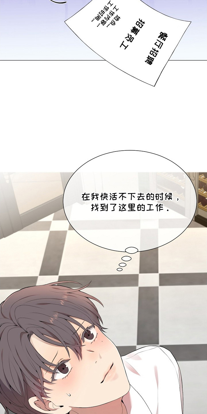 狼蛛 - 视线 - 第13页