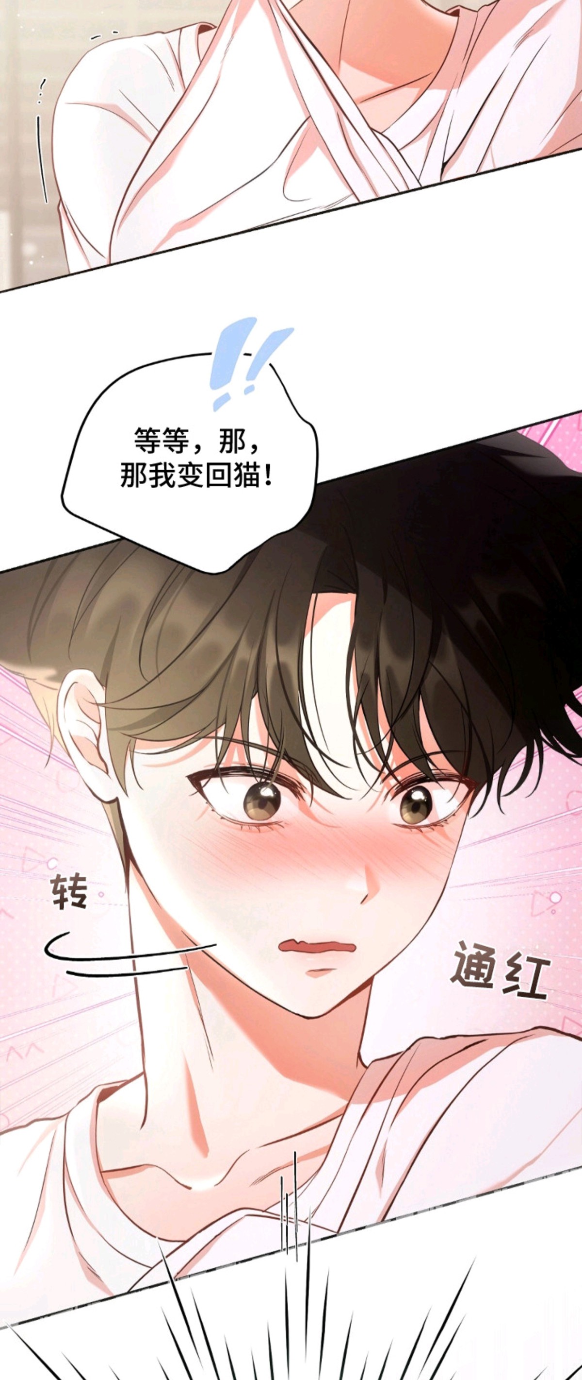 我的黑猫少年 - 当红演员 - 第9页