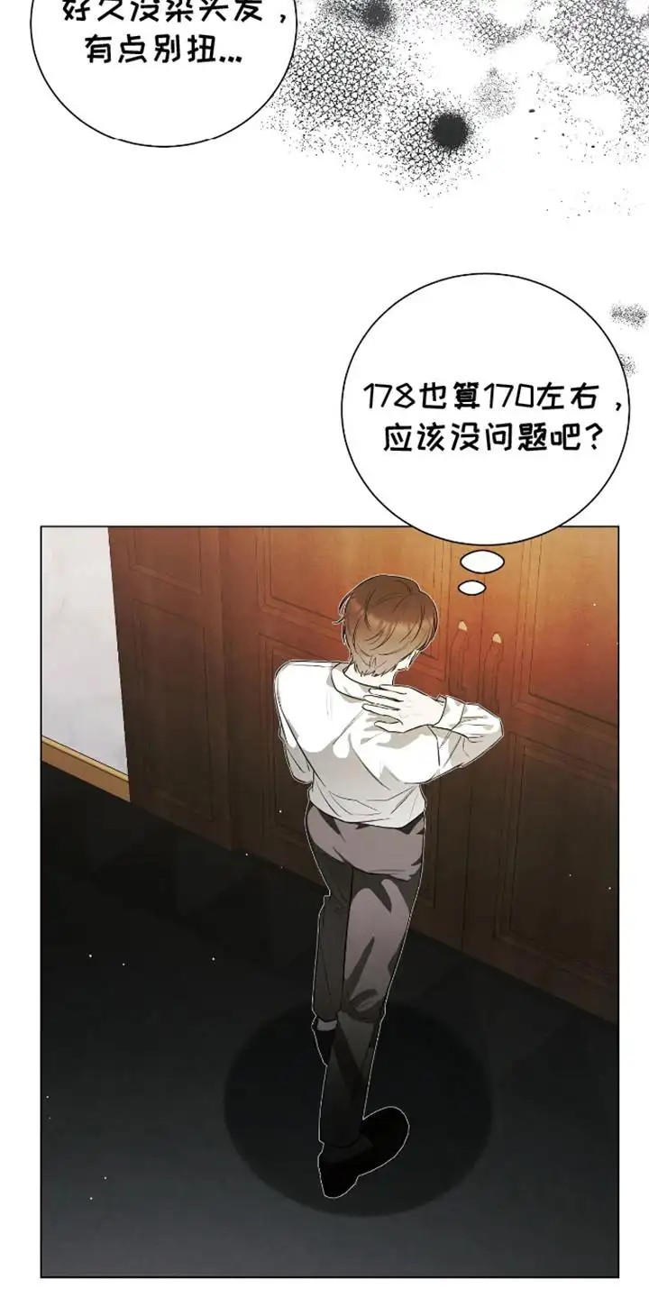 坏苹果替代品 - 阔气总裁 - 第5页