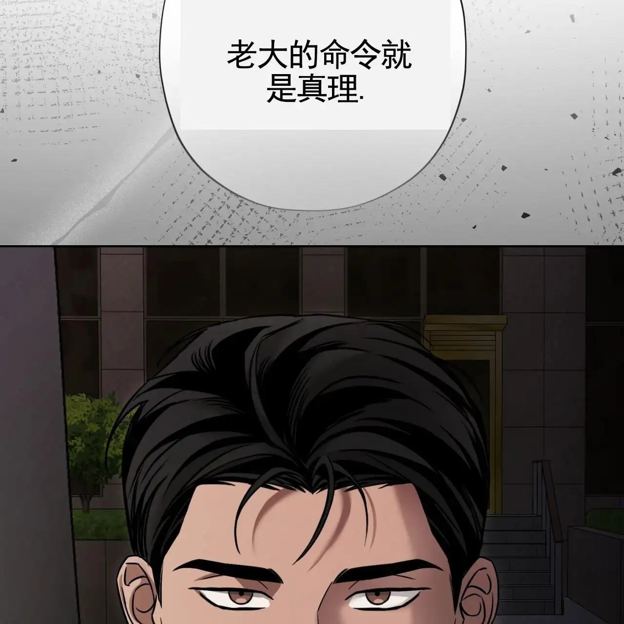 贪吃医生 - 黑帮 - 第12页