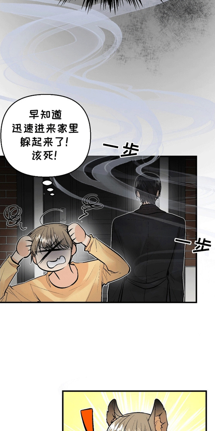 奇爱谈 - 原来是真的 - 第15页