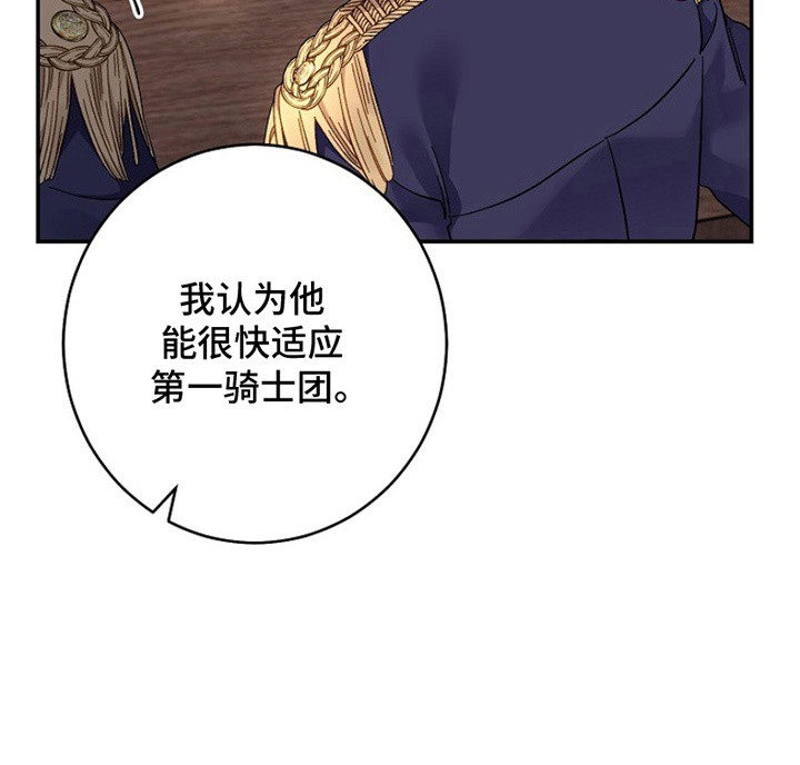 爱上骑士团团长 - 看不惯 - 第10页