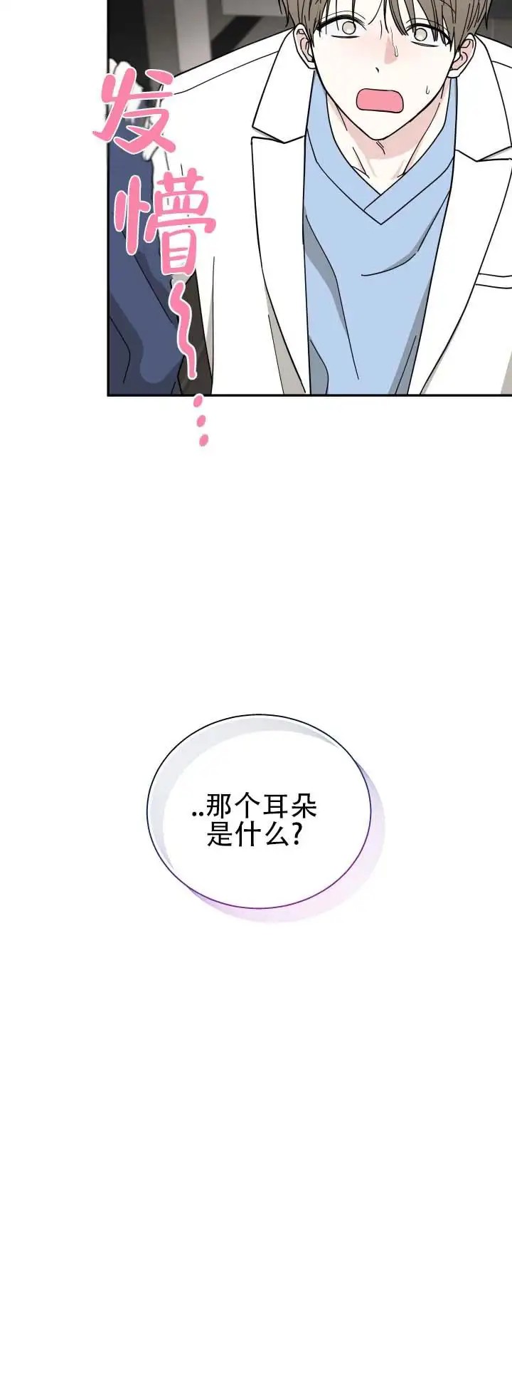 猫系男友 - 解释清楚 - 第13页