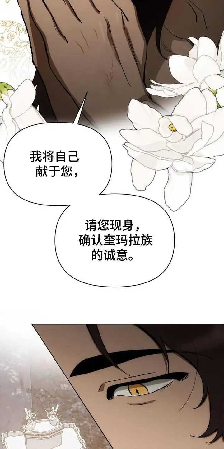 雨林让你幸福 - 守护神 - 第5页