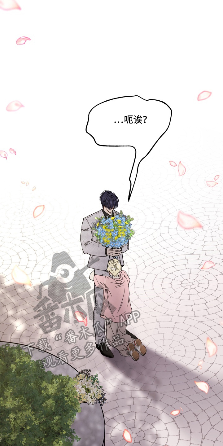 开发捕获 - 不能心软 - 第17页