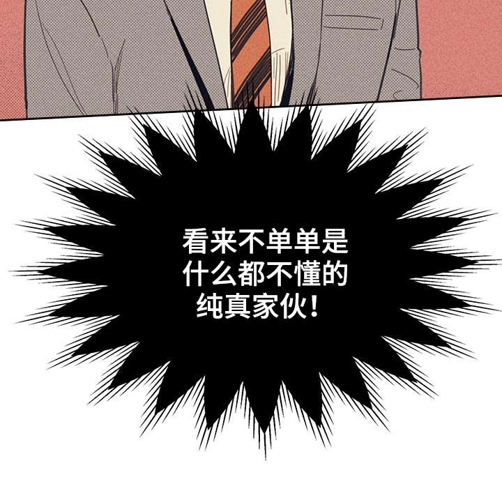 开或关 - 献身 - 第17页