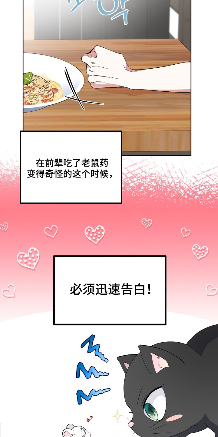 我的老鼠学长 - 套近乎 - 第26页