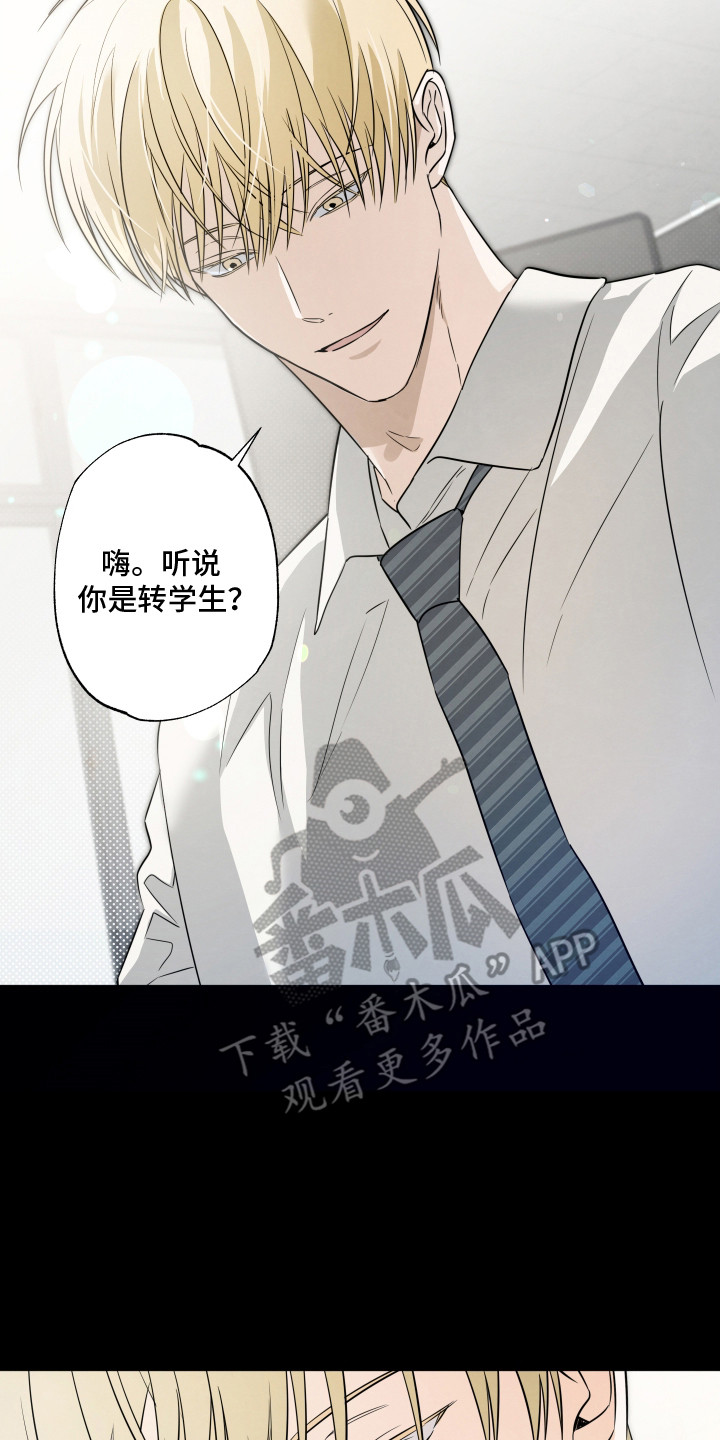 暗恋必胜 - 转学生 - 第15页