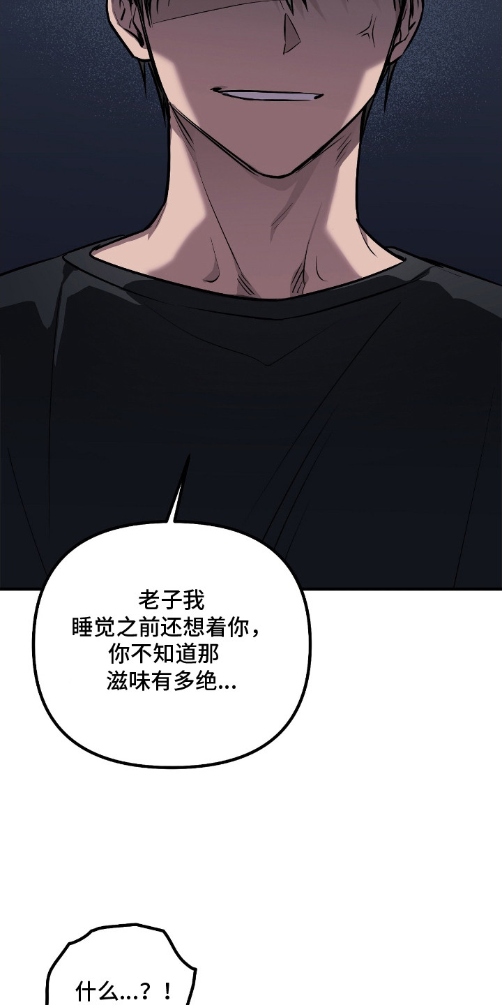 活体快递 - 特殊快递 - 第16页