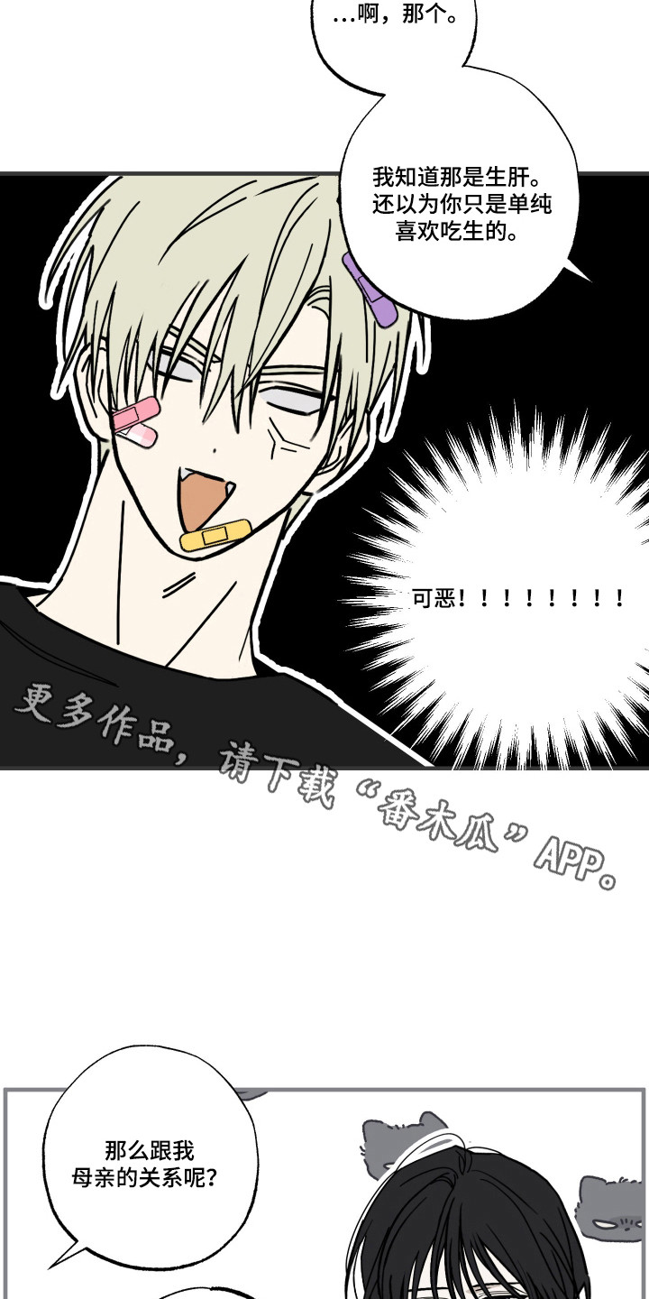 我的狐妖同事 - 重新介绍 - 第12页