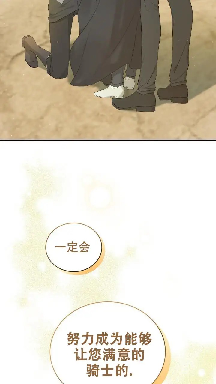 异世界骑士 - 现在放弃还太早 - 第17页
