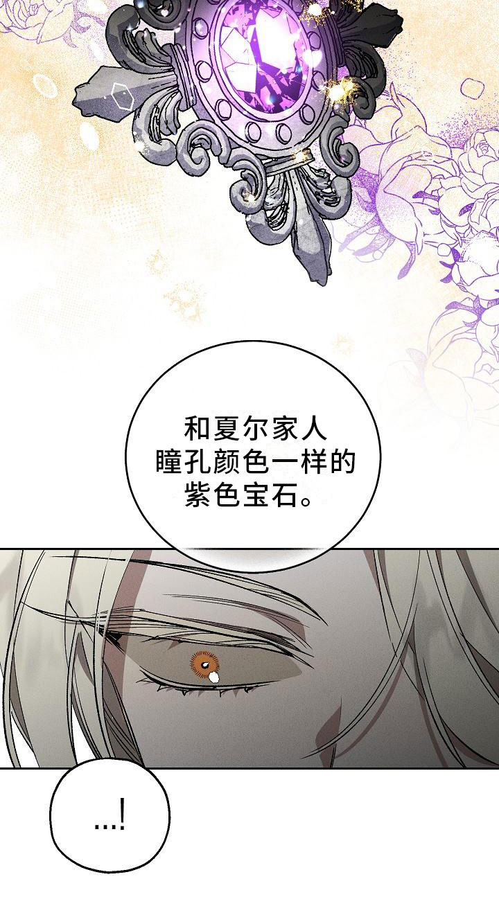 爱的合集 - 薰衣草花园-紫宝石 - 第20页