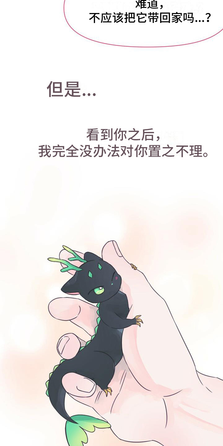 兔兔的小龙宝 - 铃铛 - 第7页