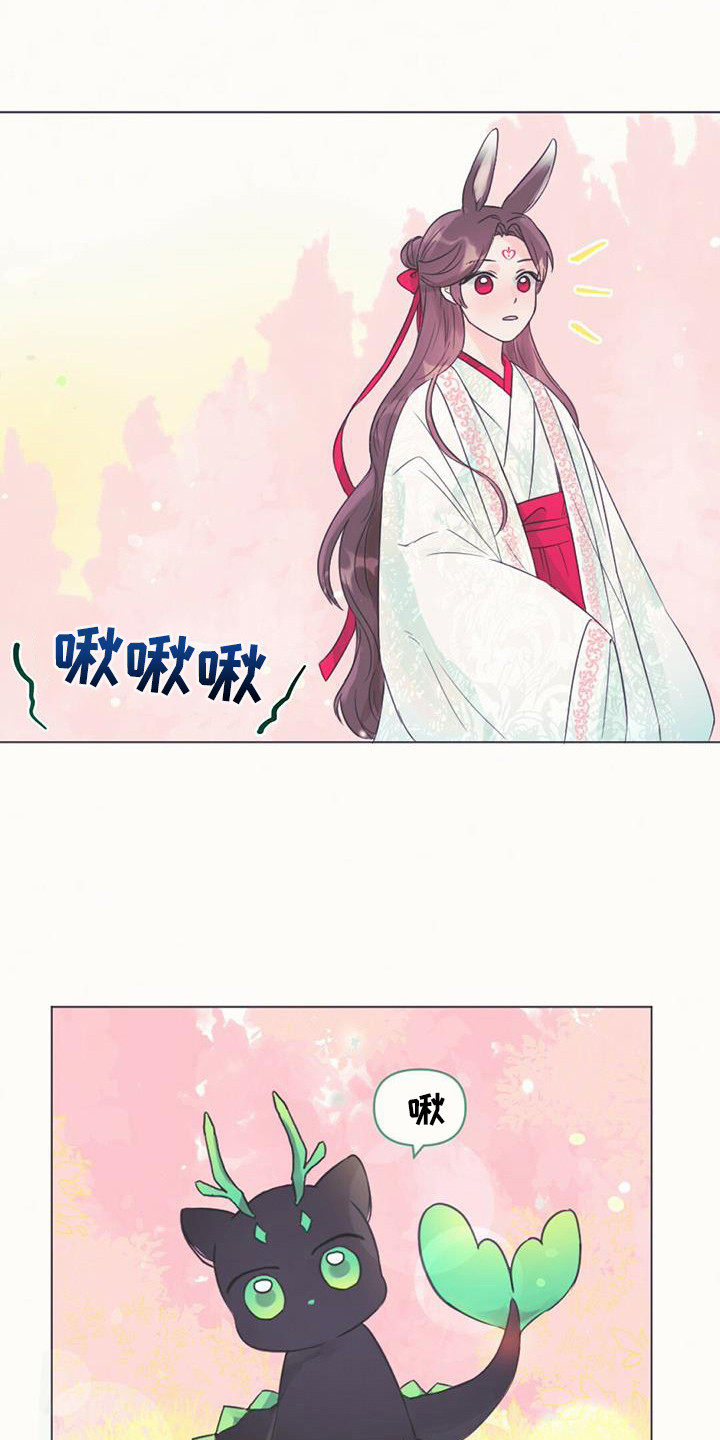 兔兔的小龙宝 - 取名 - 第12页